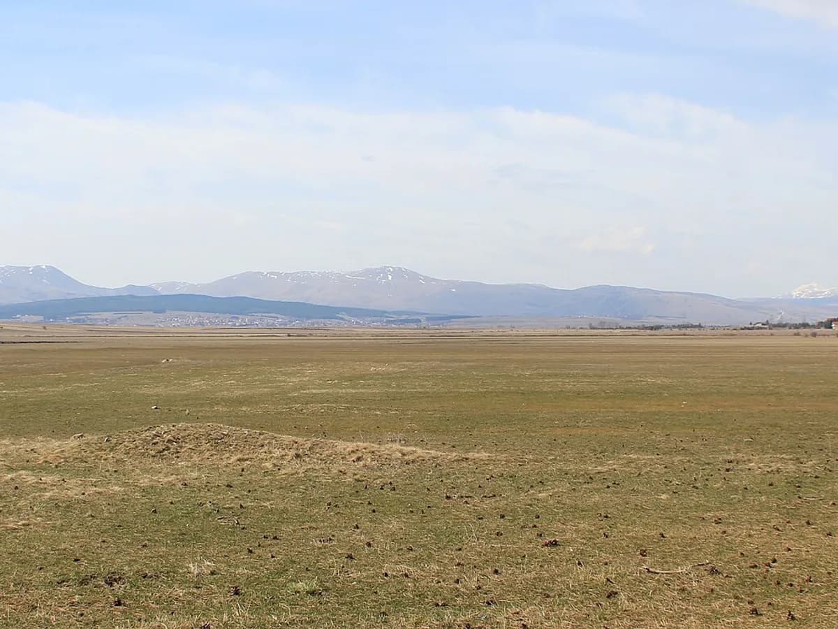 Ilustracija: Duvanjsko polje s Tomislavgradom u pozadini.
