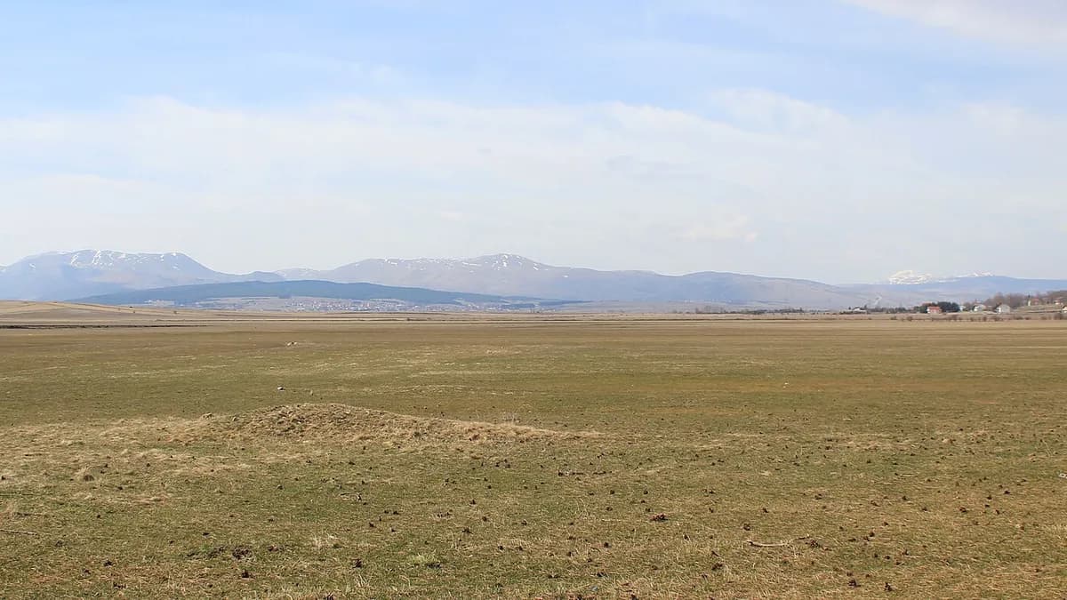 Ilustracija: Duvanjsko polje s Tomislavgradom u pozadini.