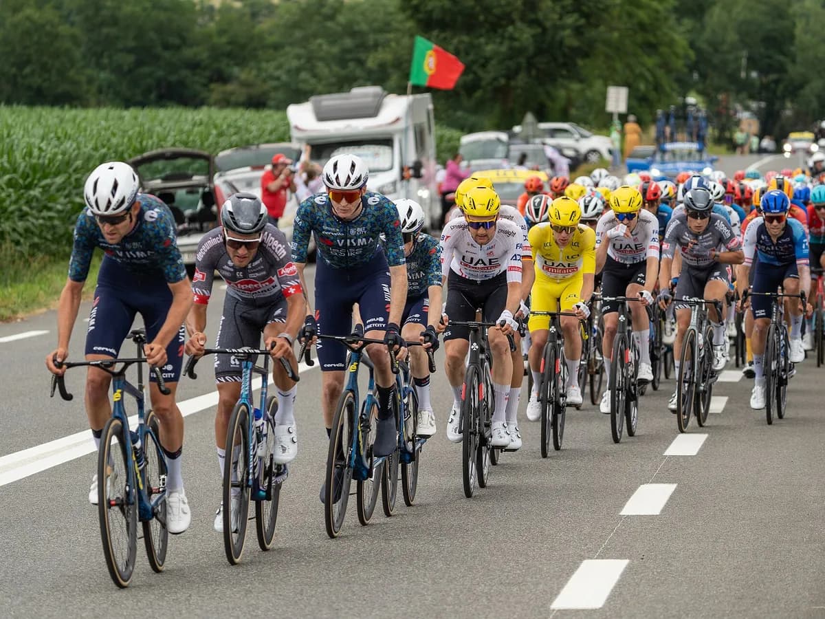 Peloton na usponu tokom 13. etape Tour de Francea 2024. godine