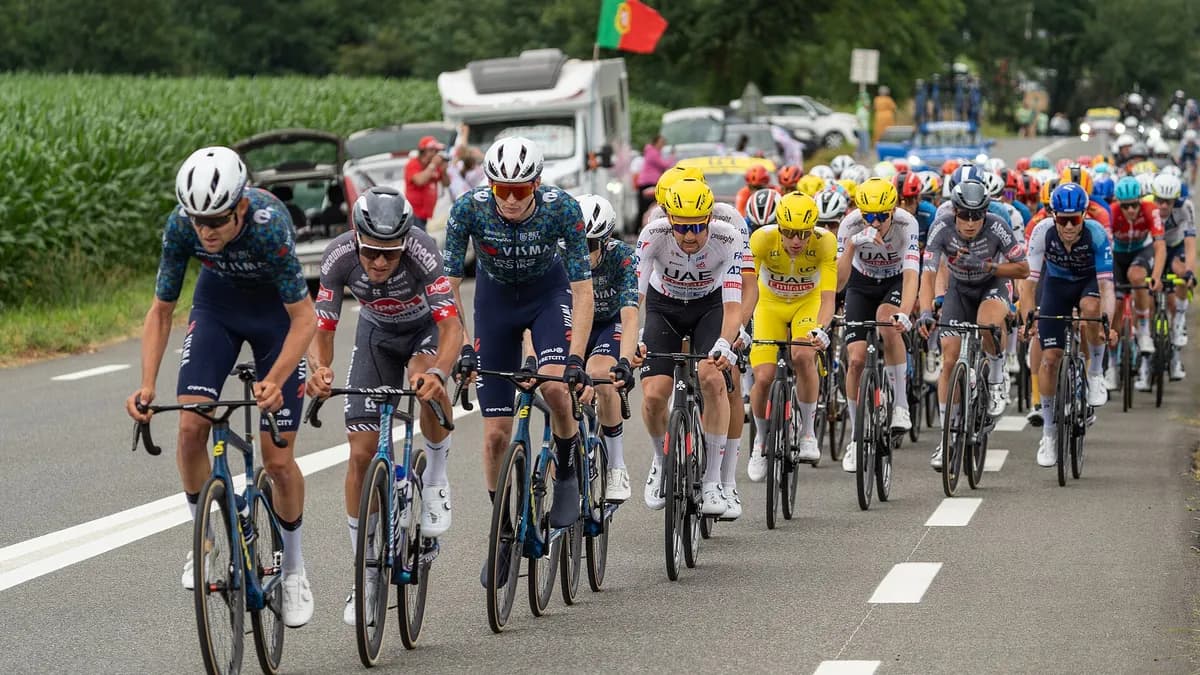 Peloton na usponu tokom 13. etape Tour de Francea 2024. godine