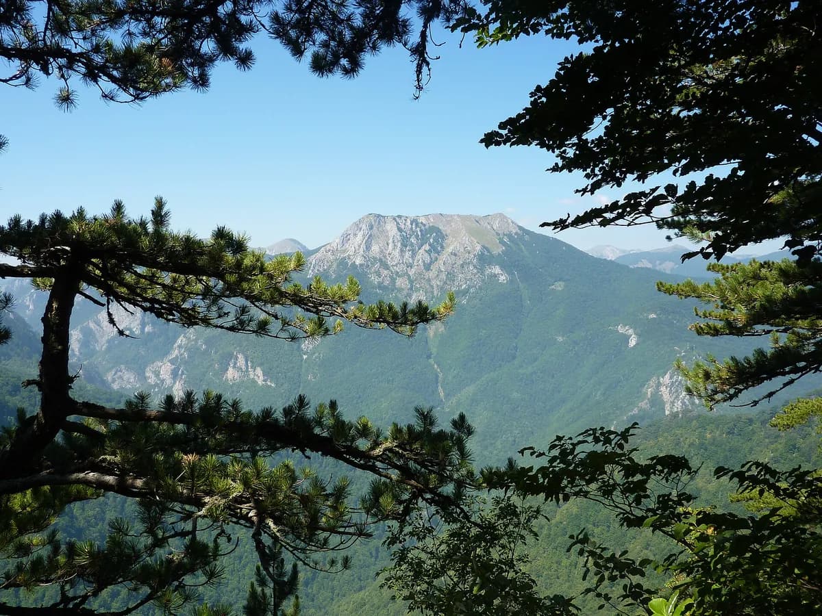 Prašuma Perućica u Nacionalnom parku Sutjeska