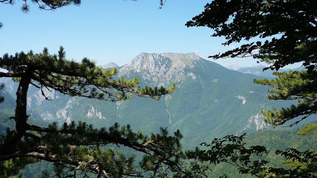 Prašuma Perućica u Nacionalnom parku Sutjeska