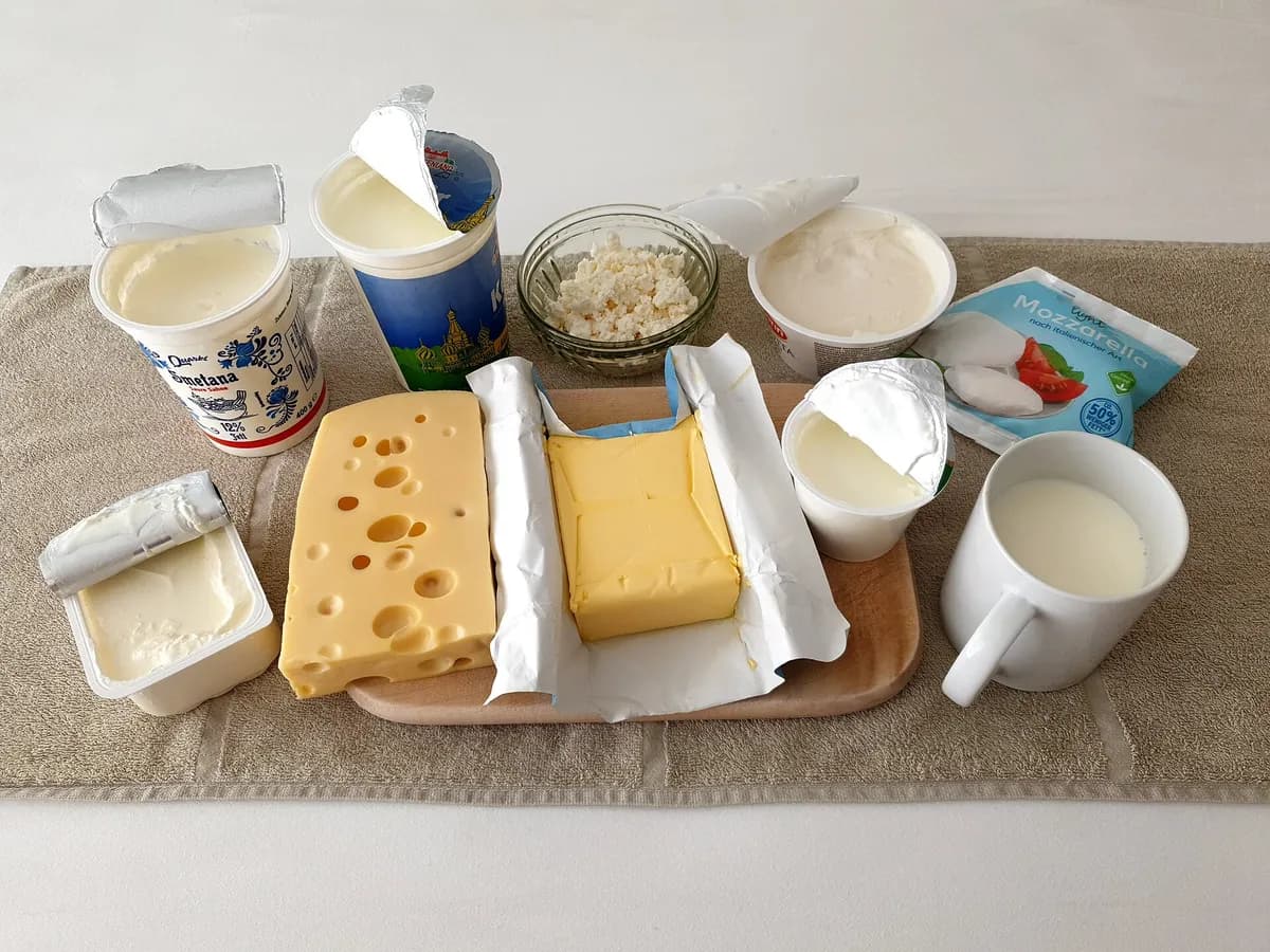 Ilustracija: mliječni proizvodi – pavlaka, kefir, svježi sir, sir, maslac, jogurt i mlijeko.