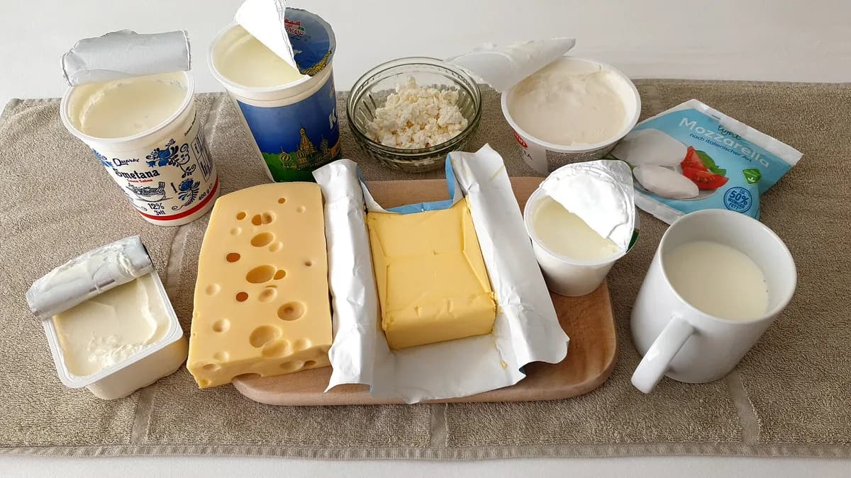 Ilustracija: mliječni proizvodi – pavlaka, kefir, svježi sir, sir, maslac, jogurt i mlijeko.