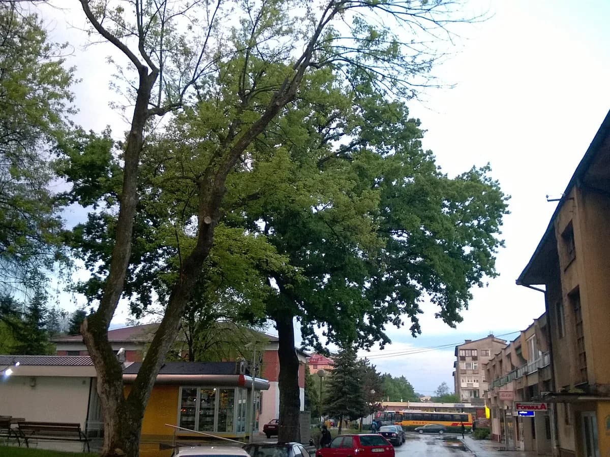 Lukavac, arhivska fotografija grada.