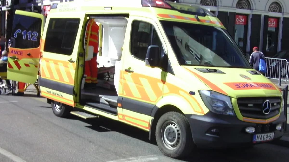 Vozilo hitne medicinske pomoći