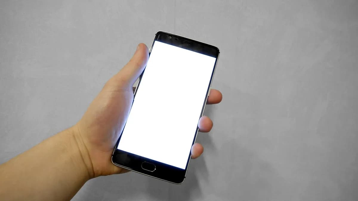 Ilustracija: ruka drži pametni telefon s praznim bijelim ekranom.