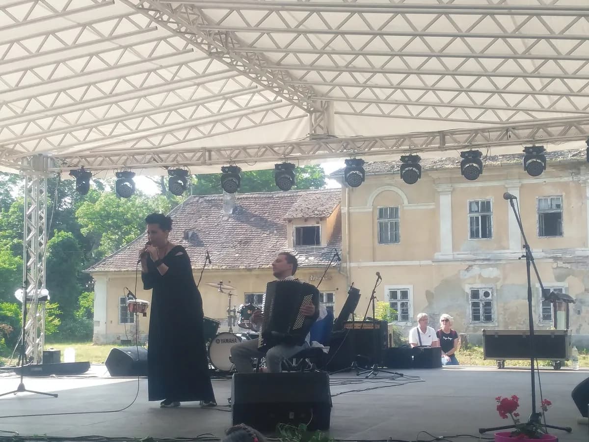 Amira Medunjanin na koncertu