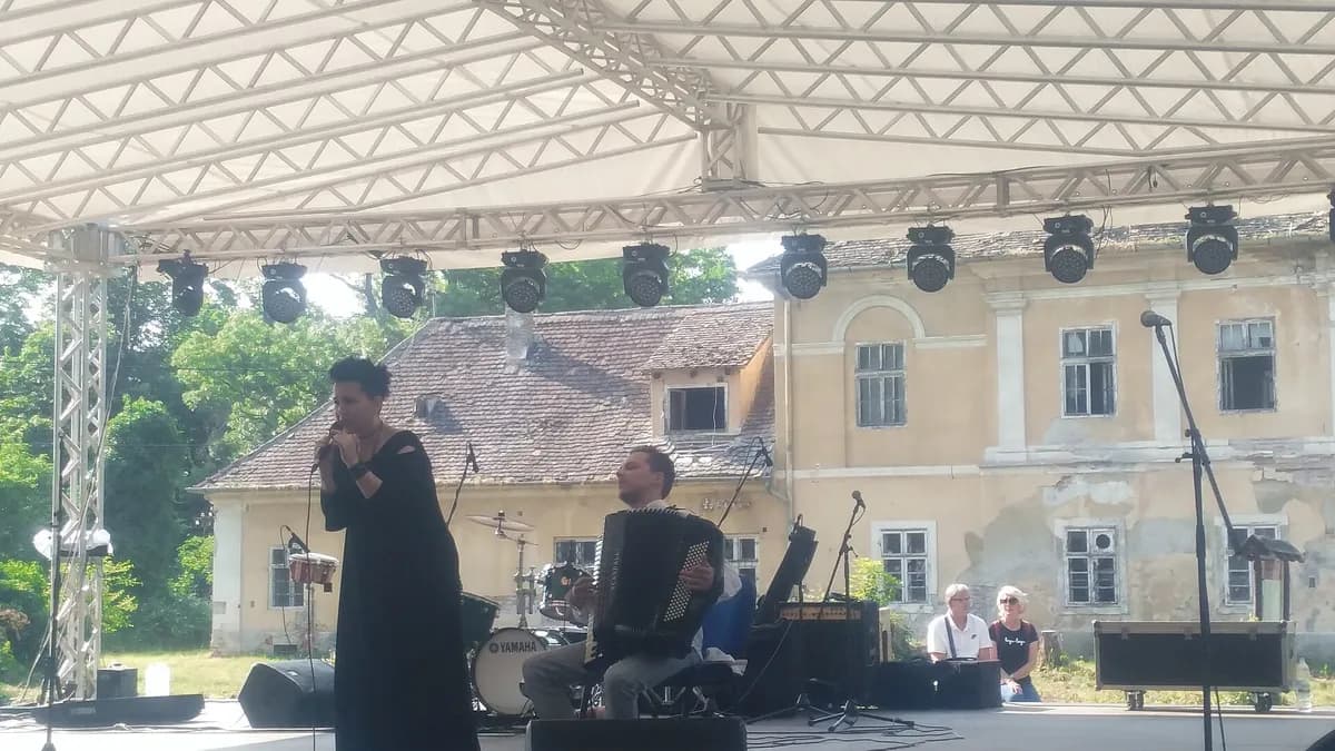 Amira Medunjanin na koncertu