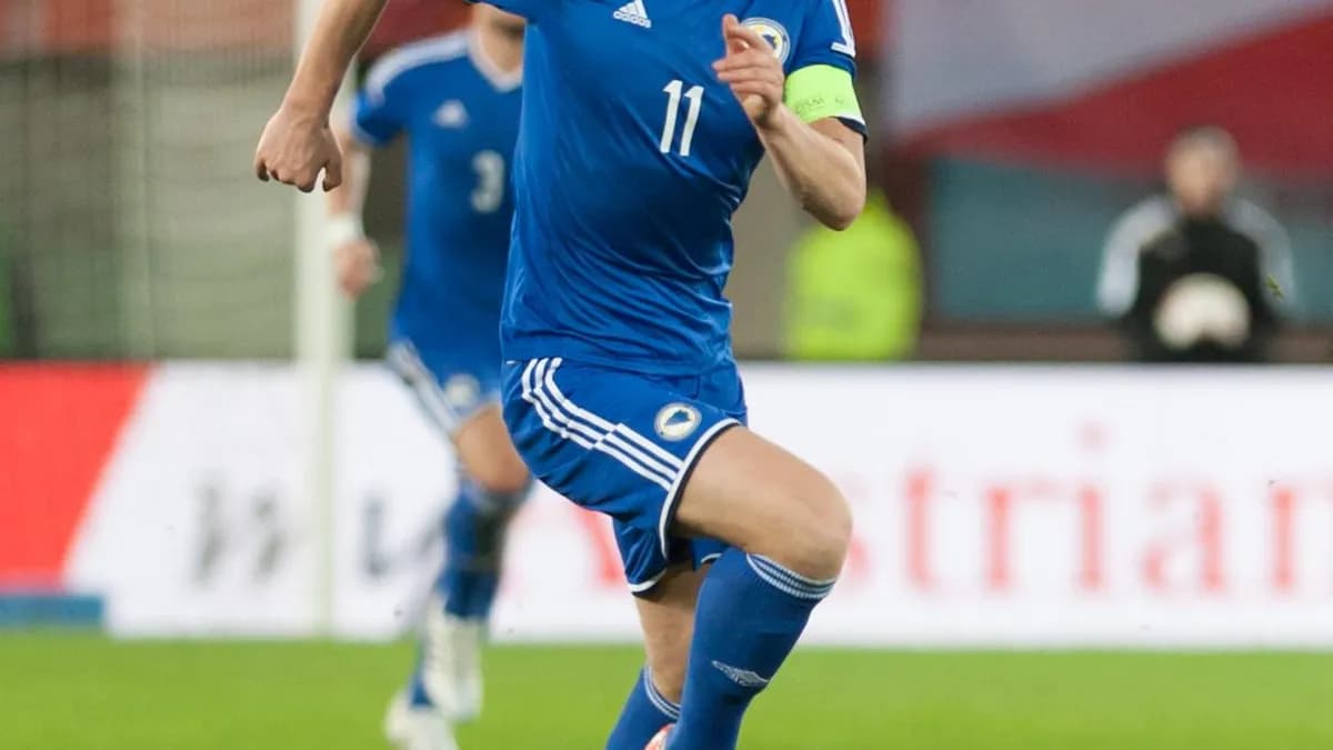 Edin Džeko na utakmici Austrija – Bosna i Hercegovina 31. marta 2015. godine.