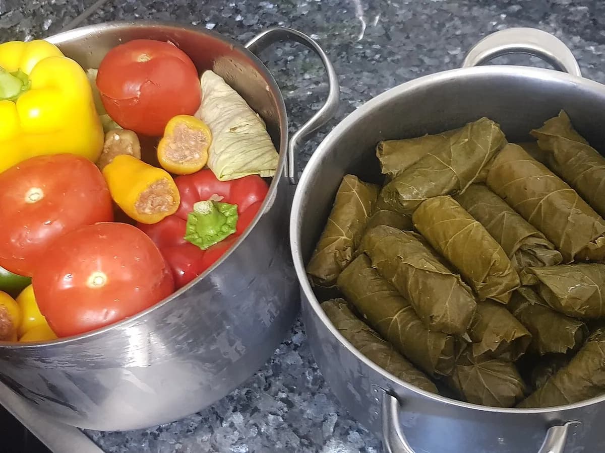 Punjeni listovi vinove loze složeni u loncu s povrćem