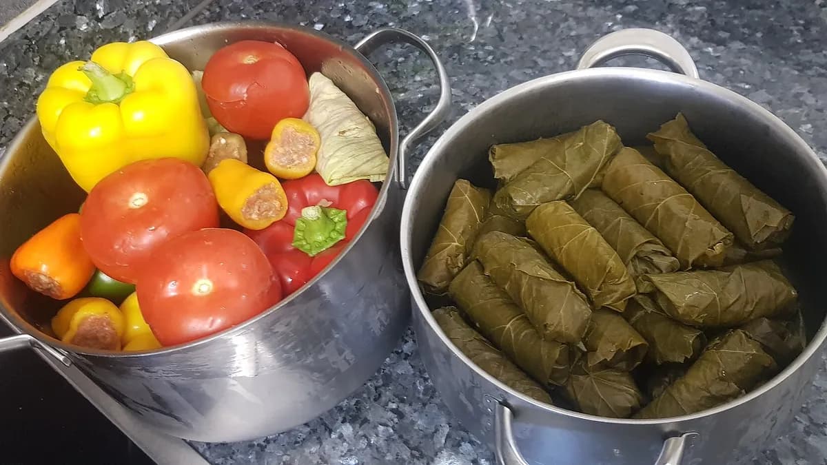Punjeni listovi vinove loze složeni u loncu s povrćem