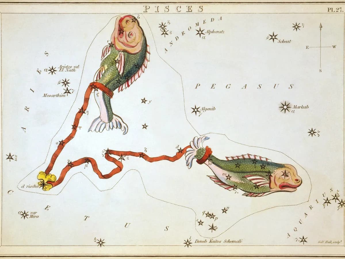 Sazviježđe Riba na karti iz zbirke „Urania's Mirror“ iz 1824. godine